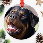 rottweiler Ornament (Round)