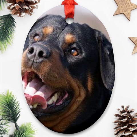 rottweiler Ornament (Oval) from UrbanLoad.com Front