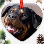 rottweiler Ornament (Heart)