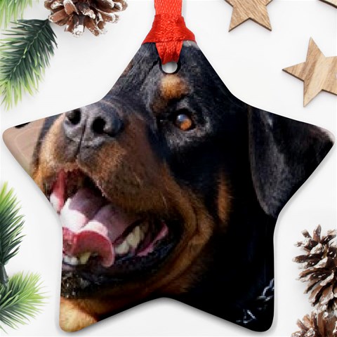 rottweiler Ornament (Star) from UrbanLoad.com Front