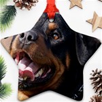 rottweiler Ornament (Star)