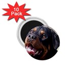 rottweiler 1.75  Magnet (10 pack) 