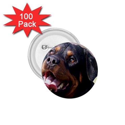 rottweiler 1.75  Button (100 pack)  from UrbanLoad.com Front