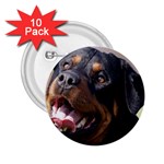 rottweiler 2.25  Button (10 pack)