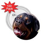 rottweiler 2.25  Button (100 pack)