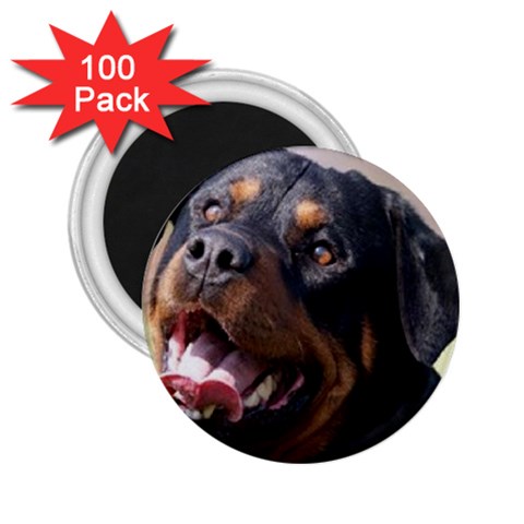 rottweiler 2.25  Magnet (100 pack)  from UrbanLoad.com Front
