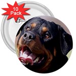 rottweiler 3  Button (10 pack)