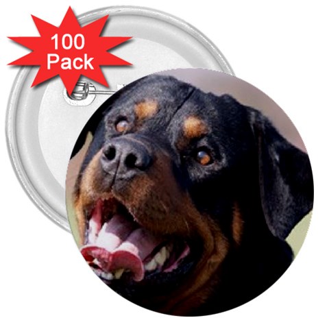 rottweiler 3  Button (100 pack) from UrbanLoad.com Front