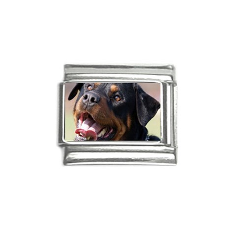 rottweiler Italian Charm (9mm) from UrbanLoad.com Front
