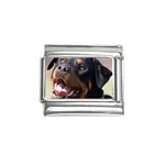 rottweiler Italian Charm (9mm)