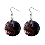 rottweiler 1  Button Earrings