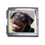 rottweiler Mega Link Italian Charm (18mm)