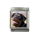 rottweiler Italian Charm (13mm)