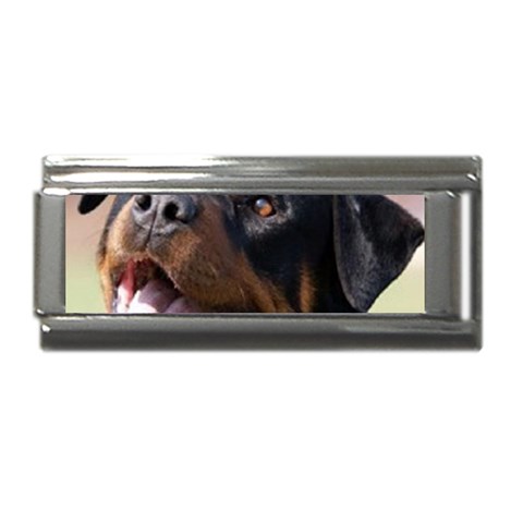 rottweiler Superlink Italian Charm (9mm) from UrbanLoad.com Front