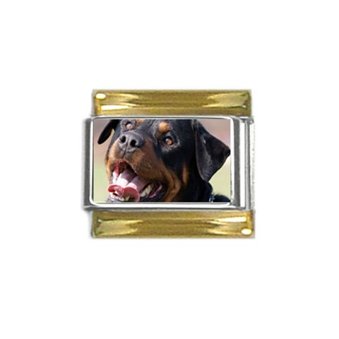 rottweiler Gold Trim Italian Charm (9mm) from UrbanLoad.com Front