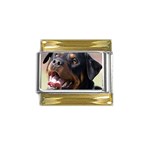 rottweiler Gold Trim Italian Charm (9mm)