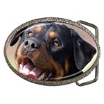 rottweiler Belt Buckle