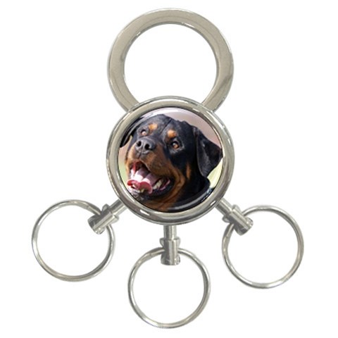rottweiler 3 Front