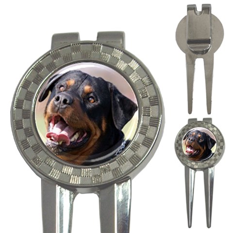 rottweiler 3 Front