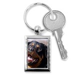 rottweiler Key Chain (Rectangle)