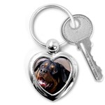 rottweiler Key Chain (Heart)