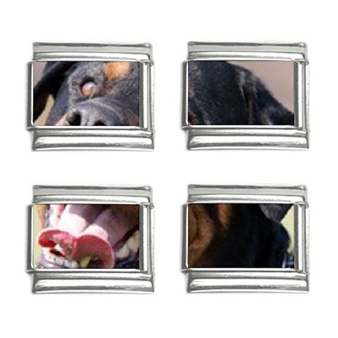 rottweiler 9mm Italian Charm (4 pack) from UrbanLoad.com Front