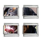 rottweiler 9mm Italian Charm (4 pack)