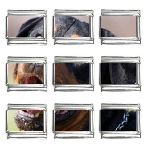 rottweiler 9mm Italian Charm (9 pack) from UrbanLoad.com Front
