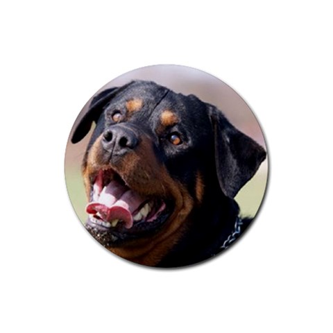 rottweiler Rubber Coaster (Round) from UrbanLoad.com Front