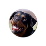 rottweiler Rubber Round Coaster (4 pack)