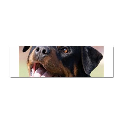 rottweiler Sticker (Bumper) from UrbanLoad.com Front