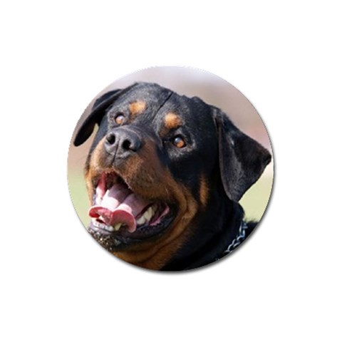 rottweiler Magnet 3  (Round) from UrbanLoad.com Front