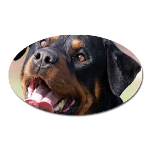 rottweiler Magnet (Oval) from UrbanLoad.com Front
