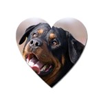 rottweiler Magnet (Heart)