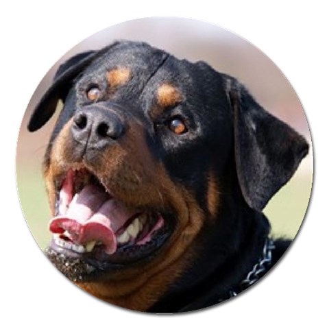 rottweiler Magnet 5  (Round) from UrbanLoad.com Front
