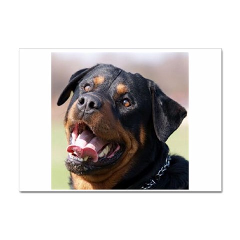 rottweiler Sticker A4 (10 pack) from UrbanLoad.com Front