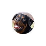 rottweiler Golf Ball Marker