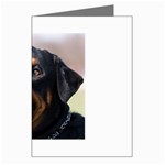 rottweiler Greeting Card