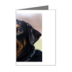 rottweiler Mini Greeting Card