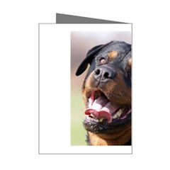 rottweiler Mini Greeting Card from UrbanLoad.com Right