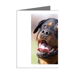 rottweiler Mini Greeting Cards (Pkg of 8) from UrbanLoad.com Right