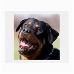 rottweiler Glasses Cloth (Small)