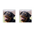 rottweiler Cufflinks (Square)