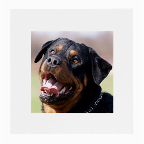 rottweiler Glasses Cloth (Medium) from UrbanLoad.com Front