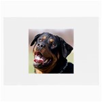 rottweiler Glasses Cloth (Large)