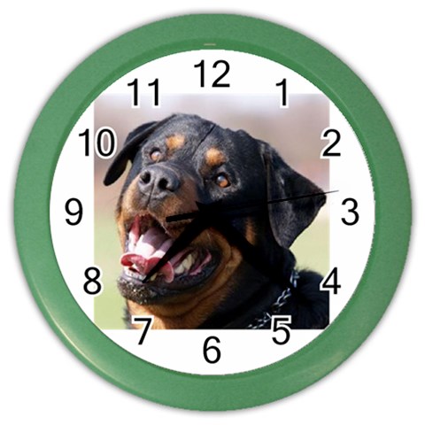 rottweiler Color Wall Clock from UrbanLoad.com Front