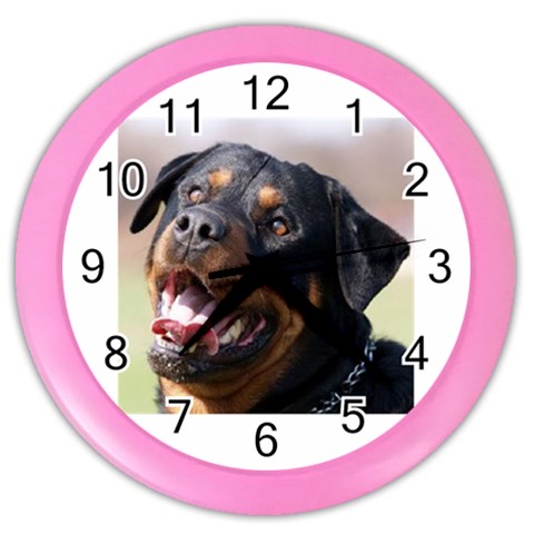 rottweiler Color Wall Clock from UrbanLoad.com Front