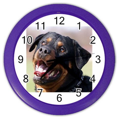 rottweiler Color Wall Clock from UrbanLoad.com Front