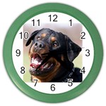 rottweiler Color Wall Clock