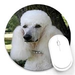 poodle 2 Round Mousepad